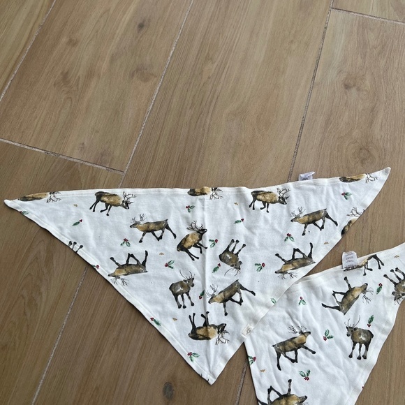 Burt's Bees 2 Piece Northern Reindeer Organic Cotton Pet Bandanas in Cardinal - Picture 7 of 7